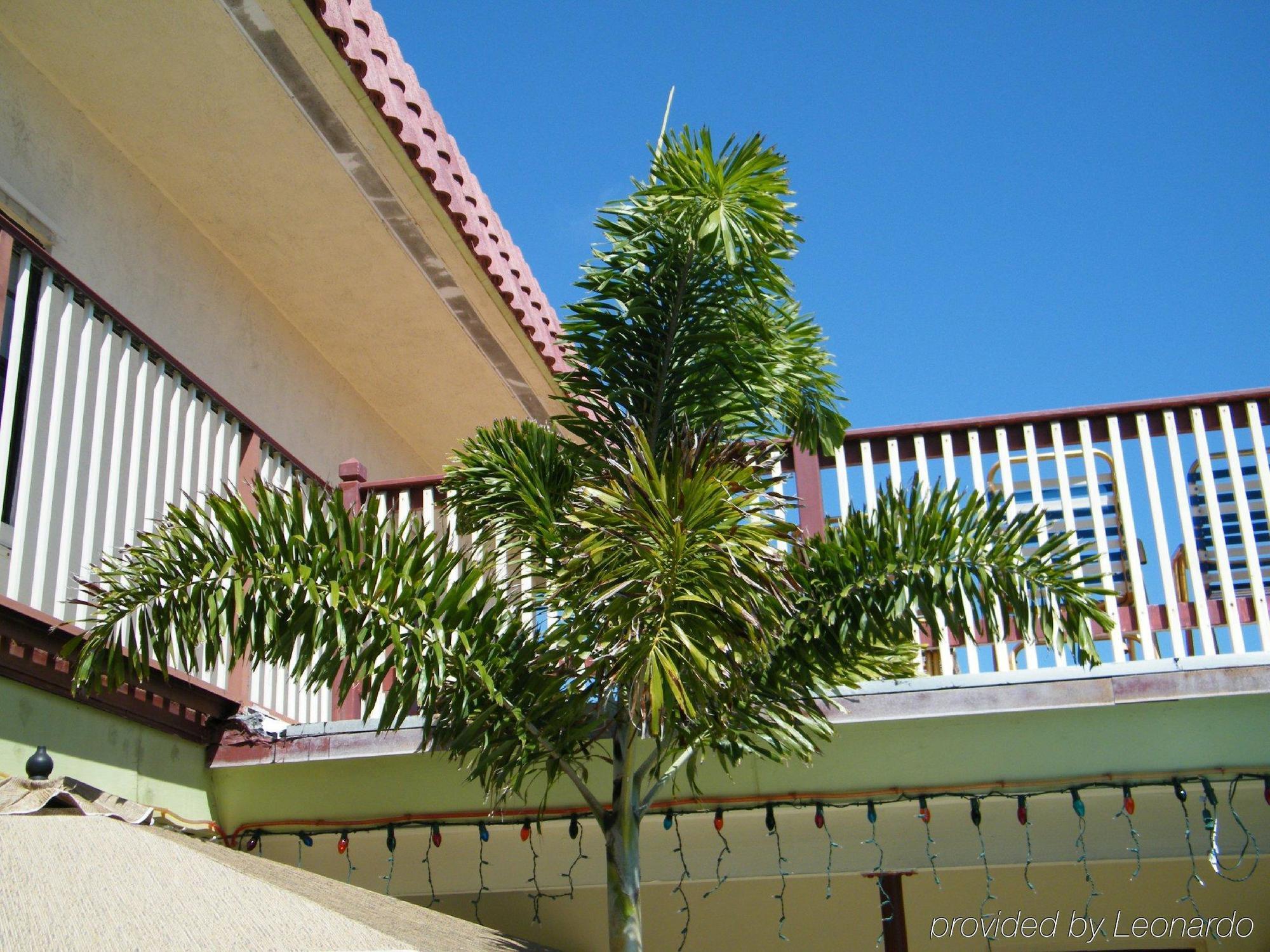 Tropicaire Resort Lauderdale-by-the-Sea Luaran gambar
